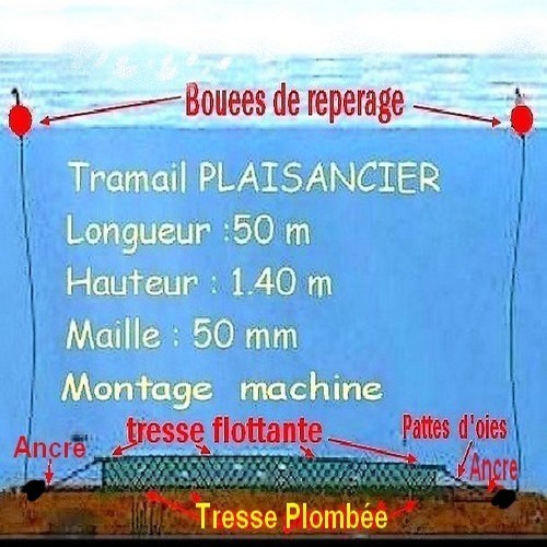 TRAMAILS